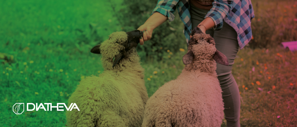 The One Health Approach to combat zoonoses: the importance of control strategies, diagnosis, and treatment