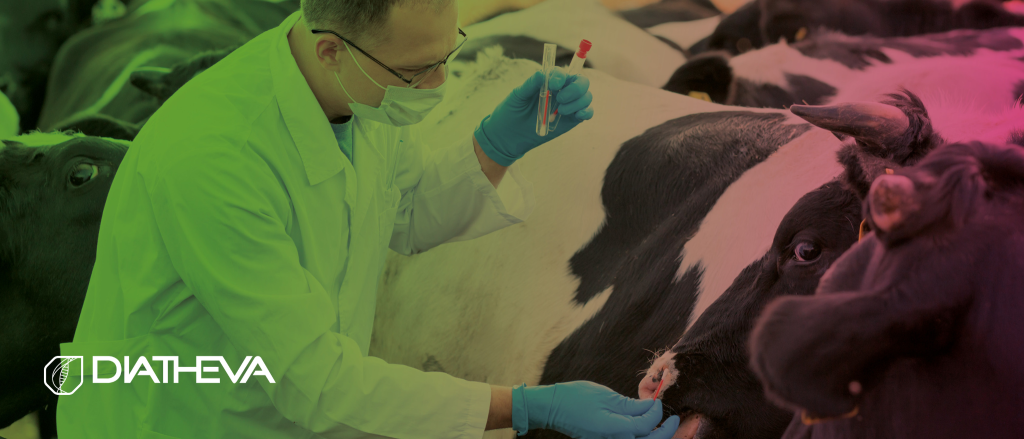 Diatheva: Committed to Veterinary Diagnostics as a Member of the International Organization “Diagnostics for Animals (D4A)”